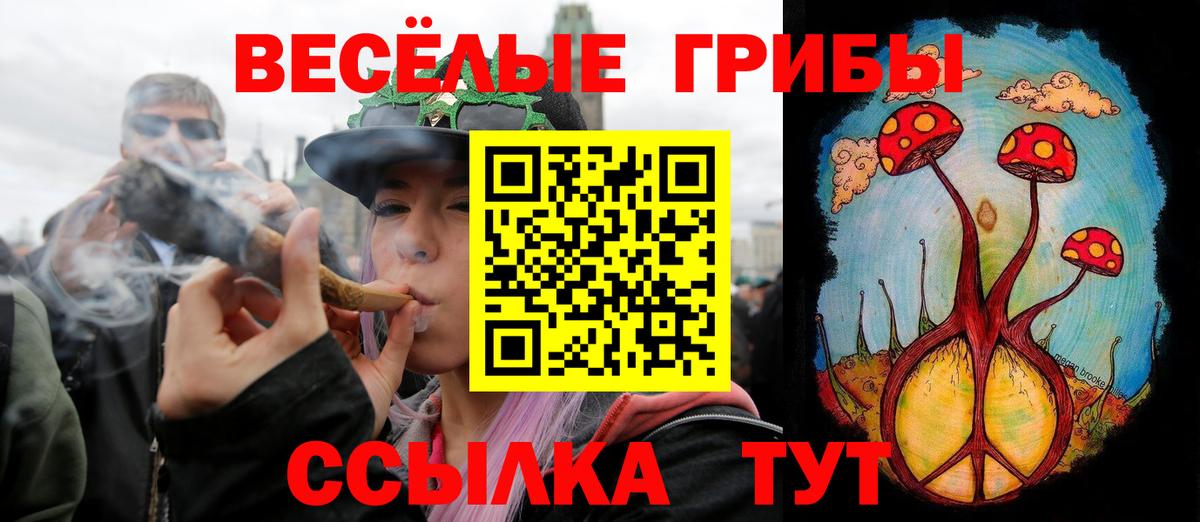 закладки  Вход с VPN  Новокузнецк  Галлюциногенные грибы GOLDEN TEACHER 