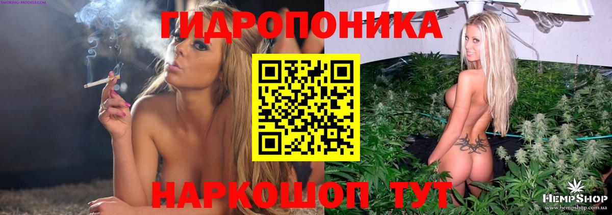 Марихуана планчик Новокузнецк